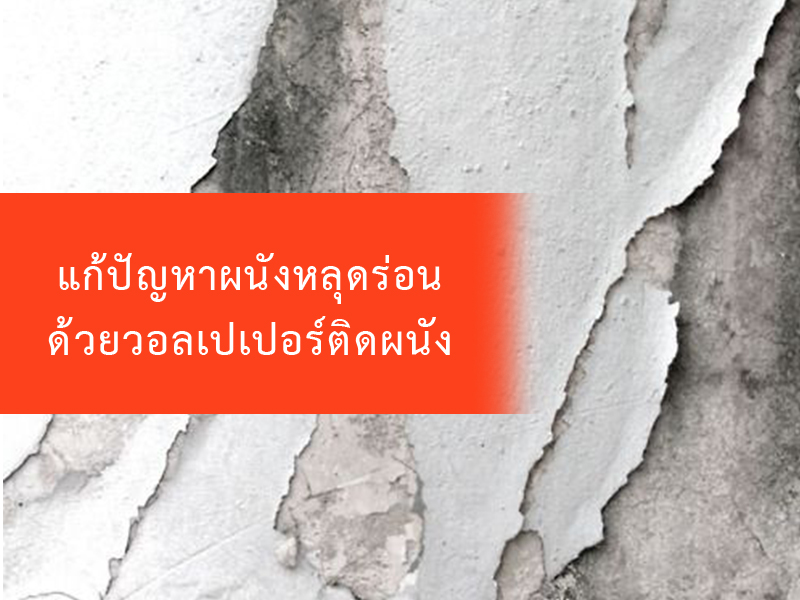 แก้ปัญหาผนังหลุดร่อน ด้วยวอลเปเปอร์ติดผนัง