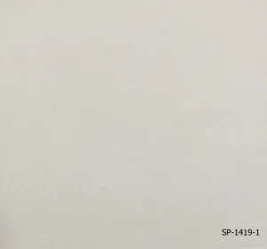 041-SP-1419-1