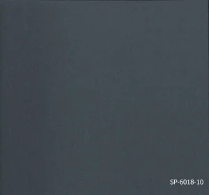 072-SP-6018-10