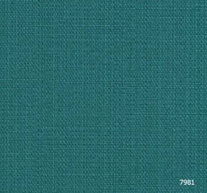 Focus 2_091