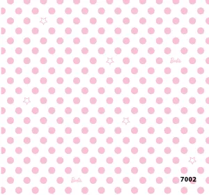 (41) 7002