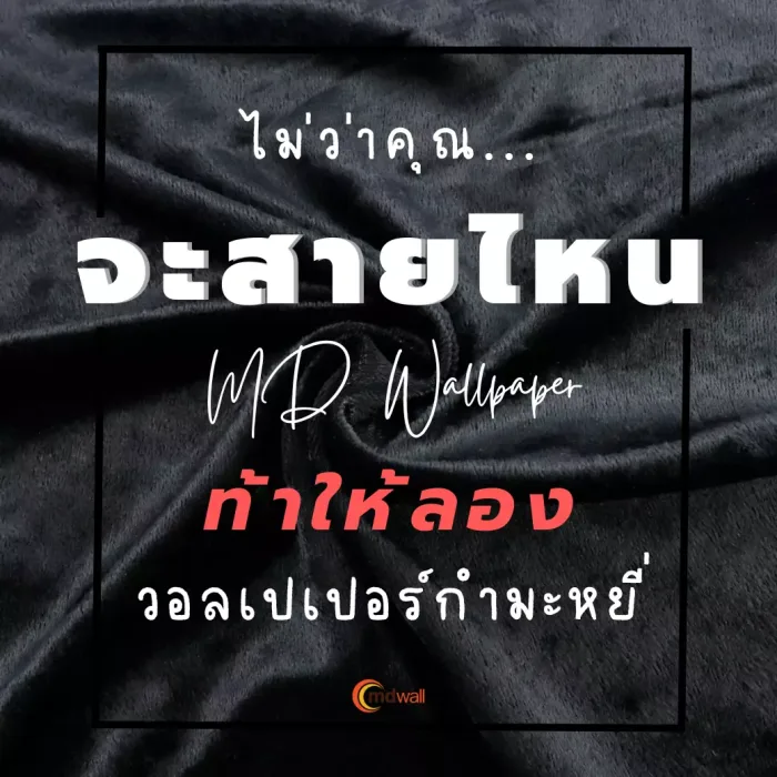ใหม่! ท้าให้ลอง “วอลเปเปอร์กำมะหยี่”
