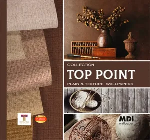 TOP POINT_001