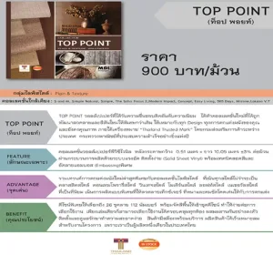 TOP POINT_002