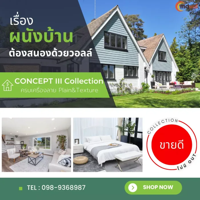 Collectionที่ขายดีที่สุด ครบเครื่องเรื่องลาย Plain&Texture (Concept III)